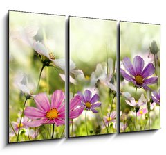 Obraz 3D tdln - 105 x 70 cm F_BB43864342 - kwiaty
