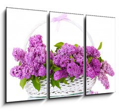 Obraz   beautiful lilac flowers in basket isolated on white, 105 x 70 cm