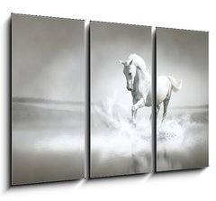 Obraz   White horse running through water, 105 x 70 cm
