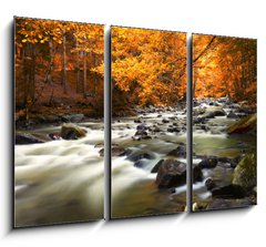 Obraz 3D tdln - 105 x 70 cm F_BB44082572 - Autumn landscape with trees and river