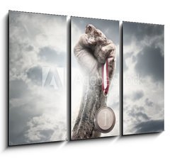 Obraz 3D tdln - 105 x 70 cm F_BB44192642 - Male hand holding gold medal against the dramatic sky