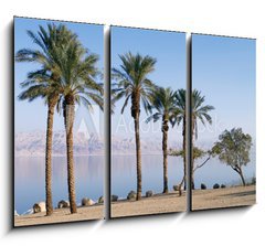 Obraz   Dead Sea, 105 x 70 cm