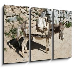 Obraz 3D tdln - 105 x 70 cm F_BB44262409 - Esel von trauriger Gestalt
