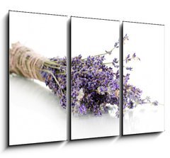 Obraz 3D tdln - 105 x 70 cm F_BB44291419 - Lavender flowers isolated on white