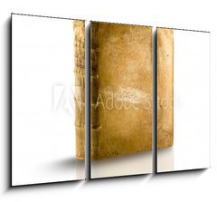 Obraz 3D tdln - 105 x 70 cm F_BB44583614 - libro pergamena memoria antica su bianco