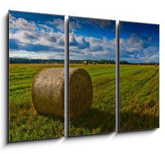 Obraz 3D tdln - 105 x 70 cm F_BB44784749 - Bale of Straw