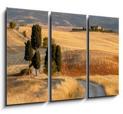 Obraz 3D tdln - 105 x 70 cm F_BB44861103 - Tuscan countryside at sunset, near Pienza, Tuscany, Italy