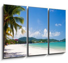 Obraz   vacation on a seashore of perfect tropical island, 105 x 70 cm