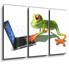 Obraz 3D tdln - 105 x 70 cm F_BB4498529 - Grenouille devant un ordinateur portable - Grenouille pochz z penosnho penosnho potae