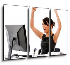 Obraz 3D třídílný - 105 x 70 cm F_BB45037171 - Successful business woman