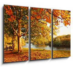 Obraz 3D tdln - 105 x 70 cm F_BB45108931 - Beautiful Autumn in the park
