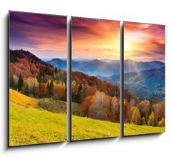 Obraz 3D tdln - 105 x 70 cm F_BB45387247 - autumn