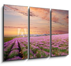 Obraz 3D tdln - 105 x 70 cm F_BB45630715 - Meadow of lavender