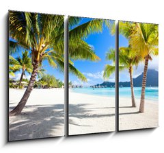 Obraz 3D tdln - 105 x 70 cm F_BB45867678 - Bora Bora beach