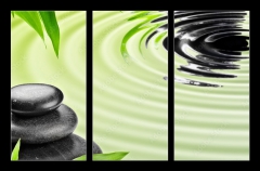 Obraz 3D tdln - 105 x 70 cm F_BB46168041 - Growth
