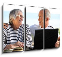 Obraz 3D tdln - 105 x 70 cm F_BB46296780 - Senior couple in the garden with laptop and book