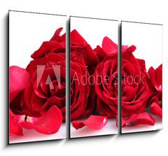 Obraz 3D tdln - 105 x 70 cm F_BB46400536 - beautiful red roses and petals isolated on white