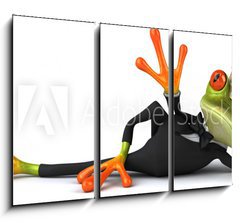 Obraz 3D tdln - 105 x 70 cm F_BB46492508 - Fun frog
