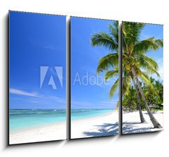 Obraz 3D tdln - 105 x 70 cm F_BB46621590 - Mauritius