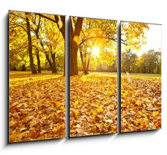 Obraz 3D tdln - 105 x 70 cm F_BB46662190 - herbsttag