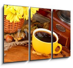 Obraz 3D tdln - 105 x 70 cm F_BB46892216 - autumnal composition:coffee grinder, flowers  and leaves
