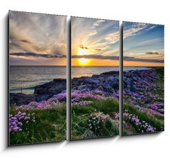 Obraz 3D tdln - 105 x 70 cm F_BB46907346 - Sunset at Tangasdale - HDR