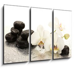 Obraz 3D tdln - 105 x 70 cm F_BB47301655 - Spa stones and orchid flowers, isolated on white.