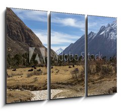 Obraz   Plateau of Samagon, 105 x 70 cm