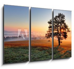 Obraz   Alone tree on meadow at sunset with sun and mist, 105 x 70 cm