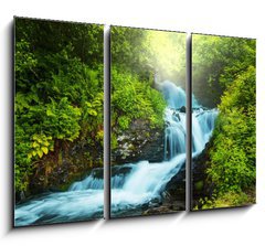 Obraz 3D tdln - 105 x 70 cm F_BB48903421 - Creek in forest