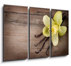 Obraz   Vanilla Pods and Flower over Wooden Background, 105 x 70 cm