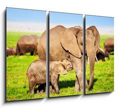 Obraz 3D tdln - 105 x 70 cm F_BB49494592 - Elephants family on savanna. Safari in Amboseli, Kenya, Africa