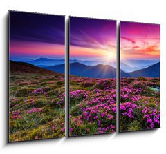 Obraz   flower, 105 x 70 cm