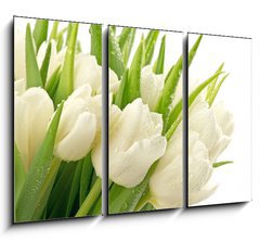 Obraz 3D tdln - 105 x 70 cm F_BB49549577 - Tulipany