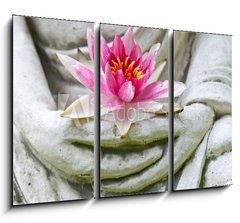 Obraz   Buddha hands holding flower, close up, 105 x 70 cm