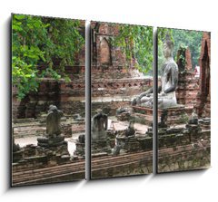 Obraz 3D tdln - 105 x 70 cm F_BB50401584 - Rovine templi Buddha