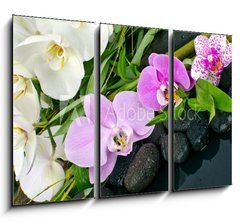 Obraz 3D tdln - 105 x 70 cm F_BB50426664 - Wellness Concept: orchids, bamboo, stone, water