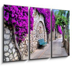Obraz   Vibrant flower draped pathway in Capri, Italy, 105 x 70 cm