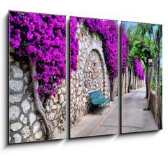 Obraz 3D tdln - 105 x 70 cm F_BB50635038 - Vibrant flower draped pathway in Capri, Italy