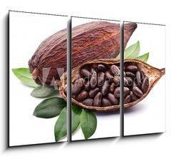 Obraz 3D tdln - 105 x 70 cm F_BB50690760 - Cocoa pod - Kakaov lusek