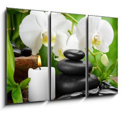 Obraz 3D tdln - 105 x 70 cm F_BB50753517 - spa concept