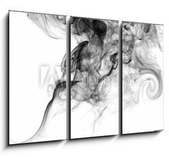 Obraz 3D tdln - 105 x 70 cm F_BB51030232 - smoke