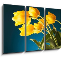 Obraz 3D tdln - 105 x 70 cm F_BB51753452 - back of a gorgeous bouquet of yellow tulips - zadn ndhern kytice lutch tulipn