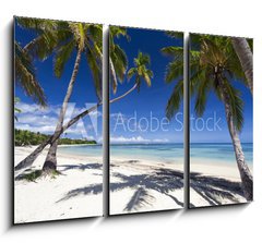 Obraz 3D tdln - 105 x 70 cm F_BB51773915 - Tropical paradise