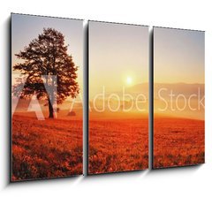 Obraz 3D tdln - 105 x 70 cm F_BB52071979 - Tree and sun