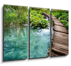 Obraz 3D tdln - 105 x 70 cm F_BB52320562 - Wooden Bridge