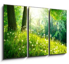 Obraz 3D tdln - 105 x 70 cm F_BB52445445 - Spring Nature. Beautiful Landscape. Green Grass and Trees