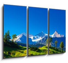 Obraz 3D tdln - 105 x 70 cm F_BB52551418 - Alps mountains