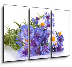 Obraz 3D tdln - 105 x 70 cm F_BB52878804 - Beautiful bouquet of cornflowers and chamomiles ,isolated