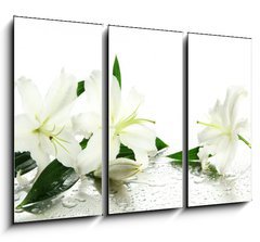 Obraz 3D tdln - 105 x 70 cm F_BB53176828 - Beautiful lily, isolated on white